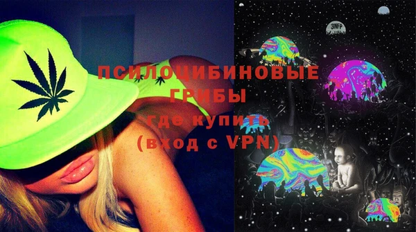 шишки Покров