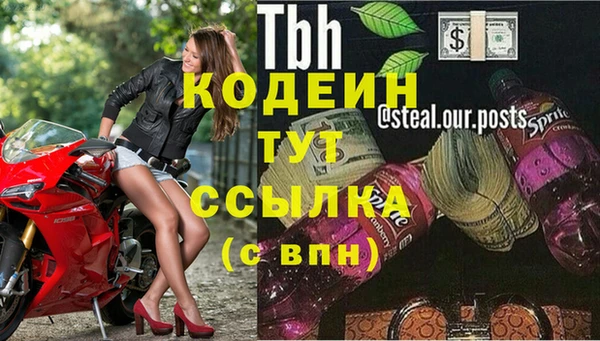 шишки Покров