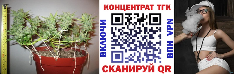 купить наркотик  Серов  darknet как зайти  ТГК жижа 