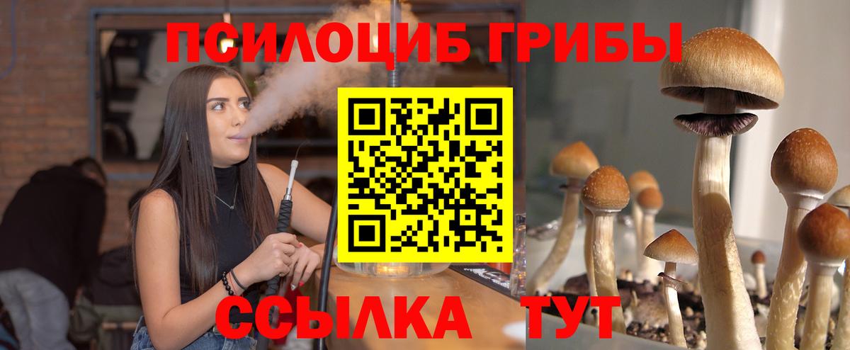 Галлюциногенные грибы прущие грибы Серов