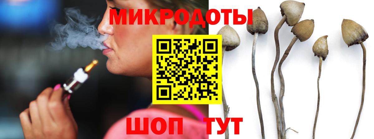 Псилоцибиновые грибы GOLDEN TEACHER  Вход с VPN  Серов 